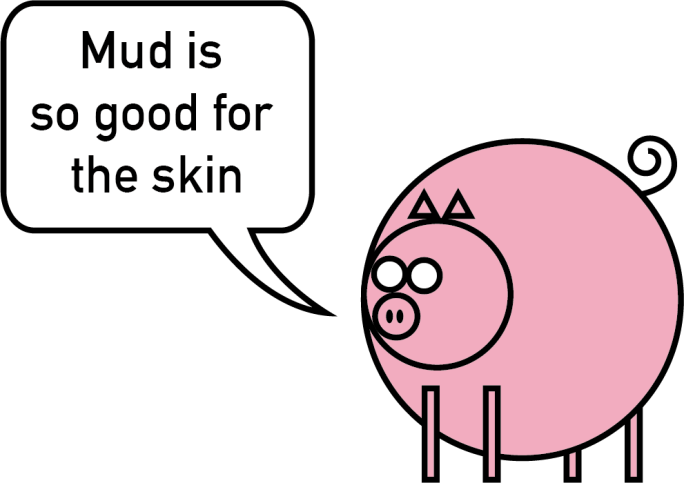 mud skin