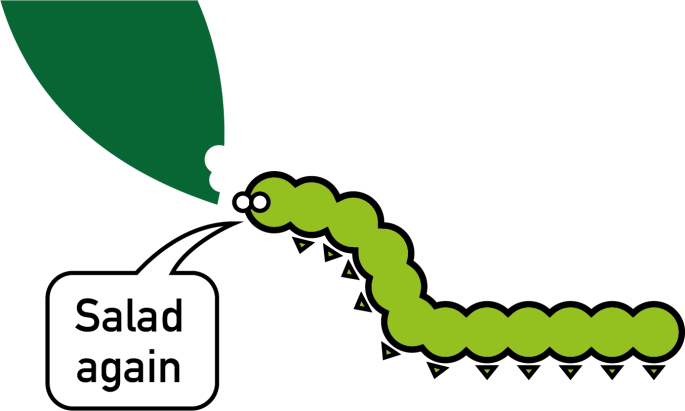 salad again
